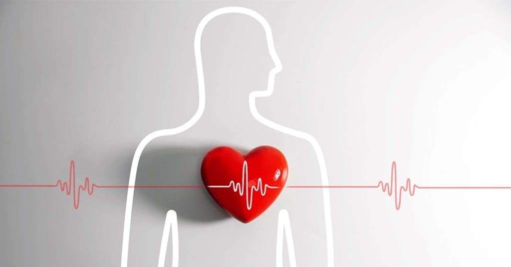 Research and Studies 1 blog cardiovascular risk cannabis